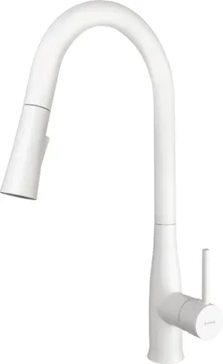 Image de Kitchen faucet with pull-out spout