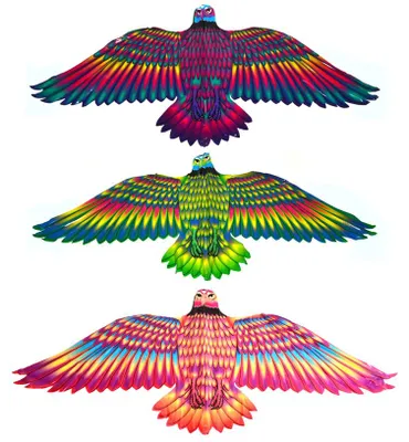 Immagine prodotto di Drago Aquila Volante 132 X 60 Cm