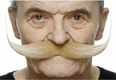 Obrázek produktu pro Knír Můj druhý já blondýnka