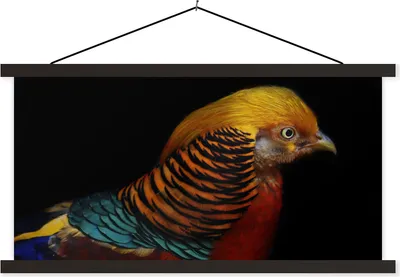 Produktbild von MuchoWow® Textilposter Vogel - Federn - Schwarz - Porträt 90x45 cm mit schwarzem Rahmen - Klemmleisten