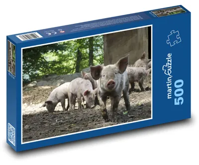 Obrázok produktu pre martinpuzzle - Puzzle 500 - Selatká v lese