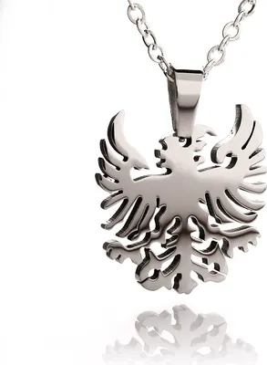 Produktbild von Edelstahl Kettenanhänger Adler Männerschmuck Hochglänzend Und EdelstahKette DP-A1