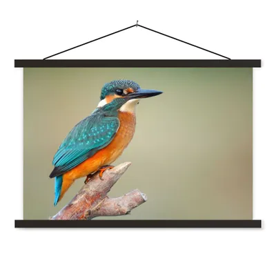 Produktbild von MuchoWow® Textilposter Vogel - Eisvogel - Zweig 60x40 cm mit schwarzem Rahmen - Hölzernes