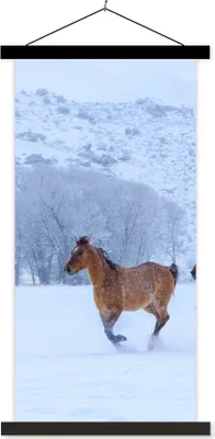 Produktbild von MuchoWow® Textilposter Pferde - Schnee - Winter 90x180 cm mit schwarzem Rahmen - Dekoration Wohnzimmer