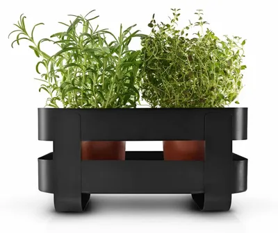 Image de Eva Solo Herb Organiser avec système d'auto-arrosage Acier - Noir
