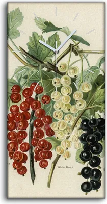 Produktbild von Wohnzimmer-Bild Leinwand Uhr 30x60 Gemälde Früchte Zweig Blätter Kunst - weiße Hände