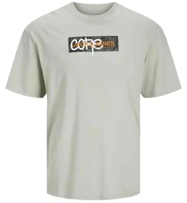 Image de T-shirt Jack&Jones JCOSUMMER PRINT TEE CREW NECK pour Homme