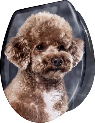Produktbild von WC Sitz Toilettensitz mit Absenkautomatik Duroplast Klodeckel Klositz , Motiv:Hund