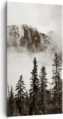 Produktbild von Bild auf Leinwand - Leinwandbild - Einteilig - Nebel Berg Wald - 65x120cm - Wand Bild - Wanddeko - Wandbilder - Leinwanddruck - Bilder - Wanddekoration - Leinwand bilder - Wandbild - PA65x120-4936
