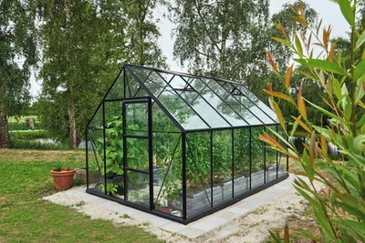 Produktbild von Gewächshaus Halls Universal 128 Sicherheitsglas 3 mm 257 x 384 cm schwarz