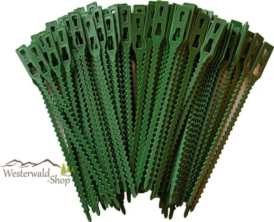 Produktbild von Pflanzenbinder 100 teilig, 13 cm lang  in grün