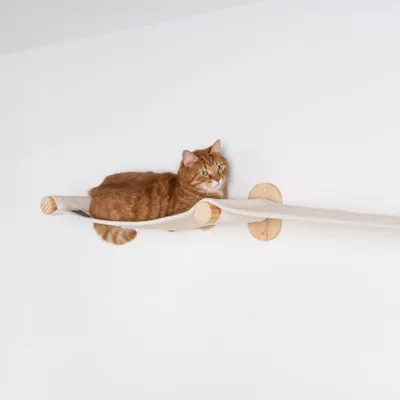 Produktbild von RHRQuality Wandmöbel Kletterwand Katze – Wandbrücke – Tragkraft bis zu 20 kg – Für große Katzen – Mit Sisalteppich – Beige