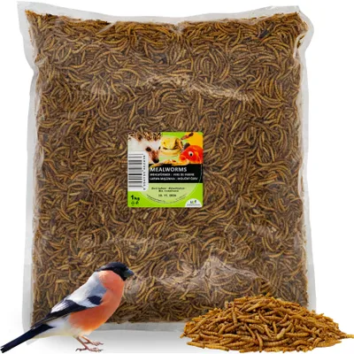 A bag of dried mealworms with a bullfinch bird in the foreground.
