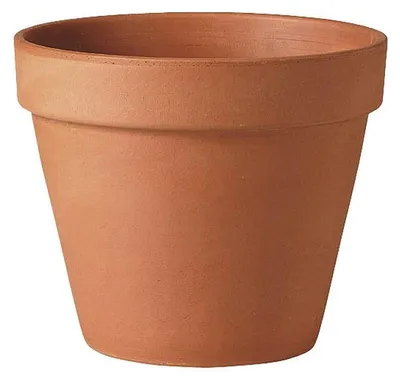 Productafbeelding van Terracotta Plantenpot voor Binnen en Buiten 25 cm