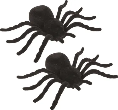 Produktbild von Vogelspinne Scherzartikel - Spinne Halloween Dekoration im 2er-Set