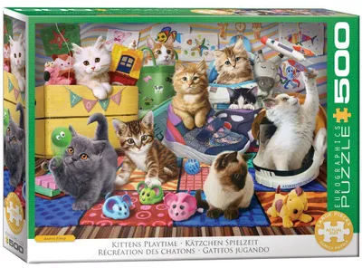 Image de Jeux pour chatons