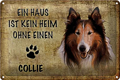 Produktbild von Blechschild Spruch 30x20cm Collie kein heim ohne Hund