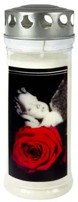 Image de Bougie commémorative 'Rose/Ange' 215 x 75 mm 7 jours