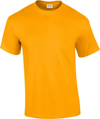 Image de Gildan - T-shirt pour homme PC6403 (L) (Or)