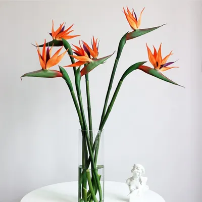 Imagen del producto de 3 flores artificiales Strelitzia Reginae, de 55 cm de altura, simulación de flores de "Ave del Paraíso" para decoración de hogares, bodas y sesiones de fotografía