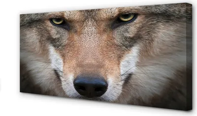 Produktbild von Leinwandbild 120x60 Wandkunst Wolf Augen