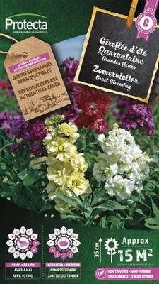 Productafbeelding van Protecta Bloemen zaden: Zomerviolier Grootbloemig