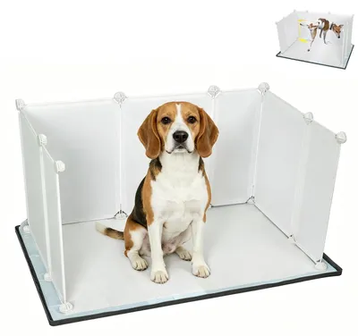 Productafbeelding van Hondenwc met hoge wanden, geschikt voor kleine tot grote honden, zonder verspilling