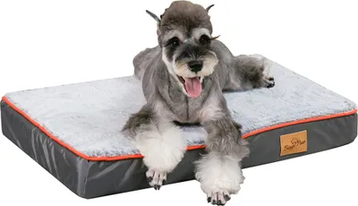 A Schnauzer dog lying on a dog bed.