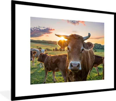 Produktbild von MuchoWow® Gerahmtes Poster Kühe - Sonne - Wiese - Landleben 80x60 cm - Poster mit Schwarzem Bilderrahmen Wandposter Rahmen Foto Bilder - Schlafzimmer-Dekorationen - Fotoposter