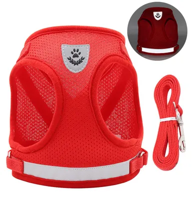 Produktbild von Hundegeschirr und Leine, reflektierend, verstellbar, atmungsaktiv, 1,1 m, Geh-Set für kleine und mittelgroße Hunde, rotes Loch, M