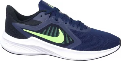 Image de Nike Chaussures Downshifter 10, CI9981404