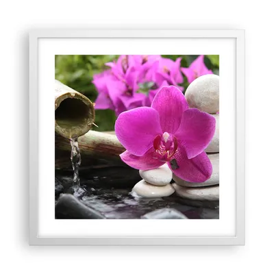 Produktbild von Gerahmtes Poster - Weißer Rahmen - Orchidee Bambus Dekoration Spa - 40x40 cm - Wand Bild - Wanddeko - Wandbilder - Wandposter - Bilderrahmen - Bilder - Kunstdruck - Wandbild - P2WAC40x40-2666