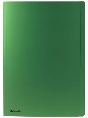 Immagine prodotto di Cartella in cartoncino Esselte, verde