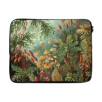 Produktbild von MuchoWow® Laptop Hülle 15 Zoll Alte Meister - Kunst - Muscinae - Haeckel Laptoptasche - Laptoptasche - Sleeve - Rundum-Schutz
