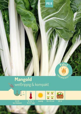 Artikelbild 1 von 'Mangold White Silver' aus der Kategorie Mangoldsamen