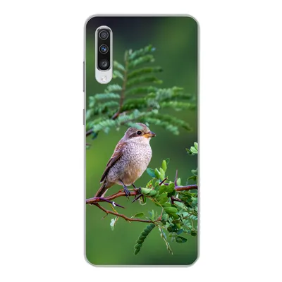 Produktbild von MuchoWow® Handyhülle Schutzhülle Hülle für Samsung Galaxy A70 Vogel - Baum - Wald Silikon Softcase Handy Hülle - Schutzhaube