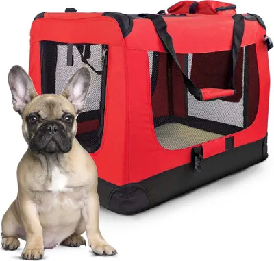 A French Bulldog sits in front of a red and black pet carrier.
