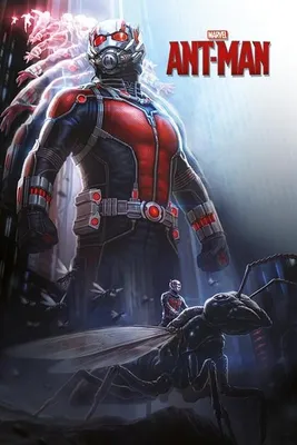 Imagen del producto de ANT-MAN - Póster - 61x91,5 cm