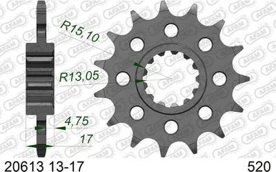 Obrázek produktu pro Ritzel 20613-16 16Z 520