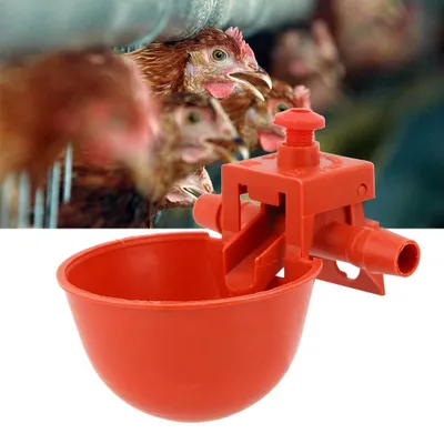 Geflügel-Trinknapf, 10 Stück, automatisch, für Hühner, Enten, Tauben