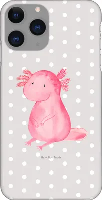 Produktbild von Mr. & Mrs. Panda Iphone 11 Pro Handyhülle Axolotl Niedlich - Grau Pastell - Geschenk, Axolot, Liebe, Handy Case, Freundin, Weisheit, Premium Kunststoff, Lebensweisheit