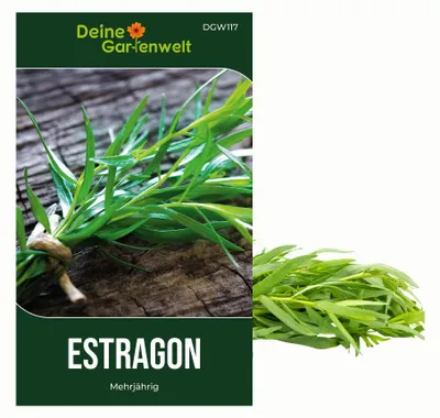 Produktbild von Estragon Mehrjährig Samen - Artemisia dracunculus - Estragonsamen - Kräutersamen - Saatgut für 50 Pflanzen