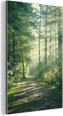 Produktbild von MuchoWow Wanddekoration Metall Metallbild Wandkunst 100x150 cm Wald - Weg - Sonne - Bäume - Grün - Natur MuchoWow Aluminium Gemälde - Bild
