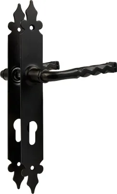A black metal door handle with a keyhole plate.