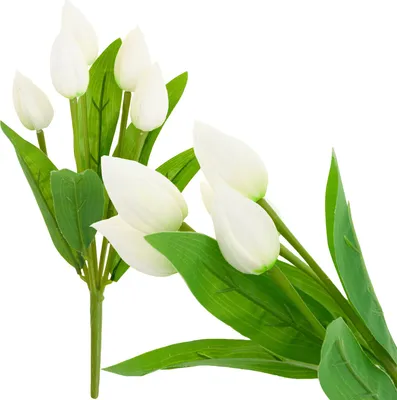 Obrázok produktu pre Cv26806-1 Kytica Tulipánov Biela Krásna Ako Živé Penové Tulipány Umelé