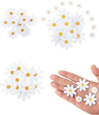 Produktbild von Gänseblümchen Aufnäher 40 Stück, 4 Größen, Bügelbilder, für Kleidung