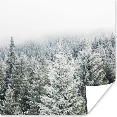 Produktbild von MuchoWow® Poster Wald - Schnee - Winter - Jahreszeiten - Tannenbaum 100x100 cm - Babyzimmer