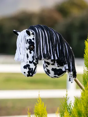 Productafbeelding van Hobby paard, zwart-wit gevlekt, met zwarte en witte manen - Formaat A3