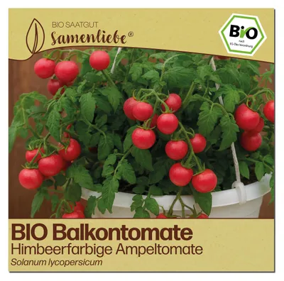 Produktbild von Samenliebe  Tomate Samen | Himbeerfarbige Ampeltomate - rosa & süß & hängende - samenfestes  Saatgut