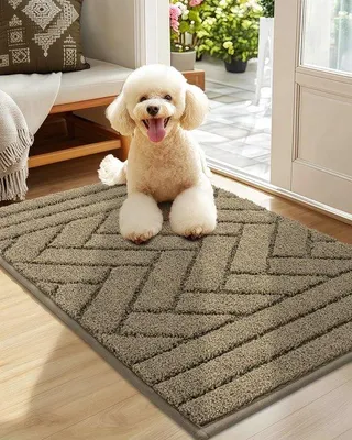 Produktbild von Ibenzoa® Eingangsmatte aus Polypropylen, 50 x 80 cm – rutschfest & wasserabsorbierend, hellgrau